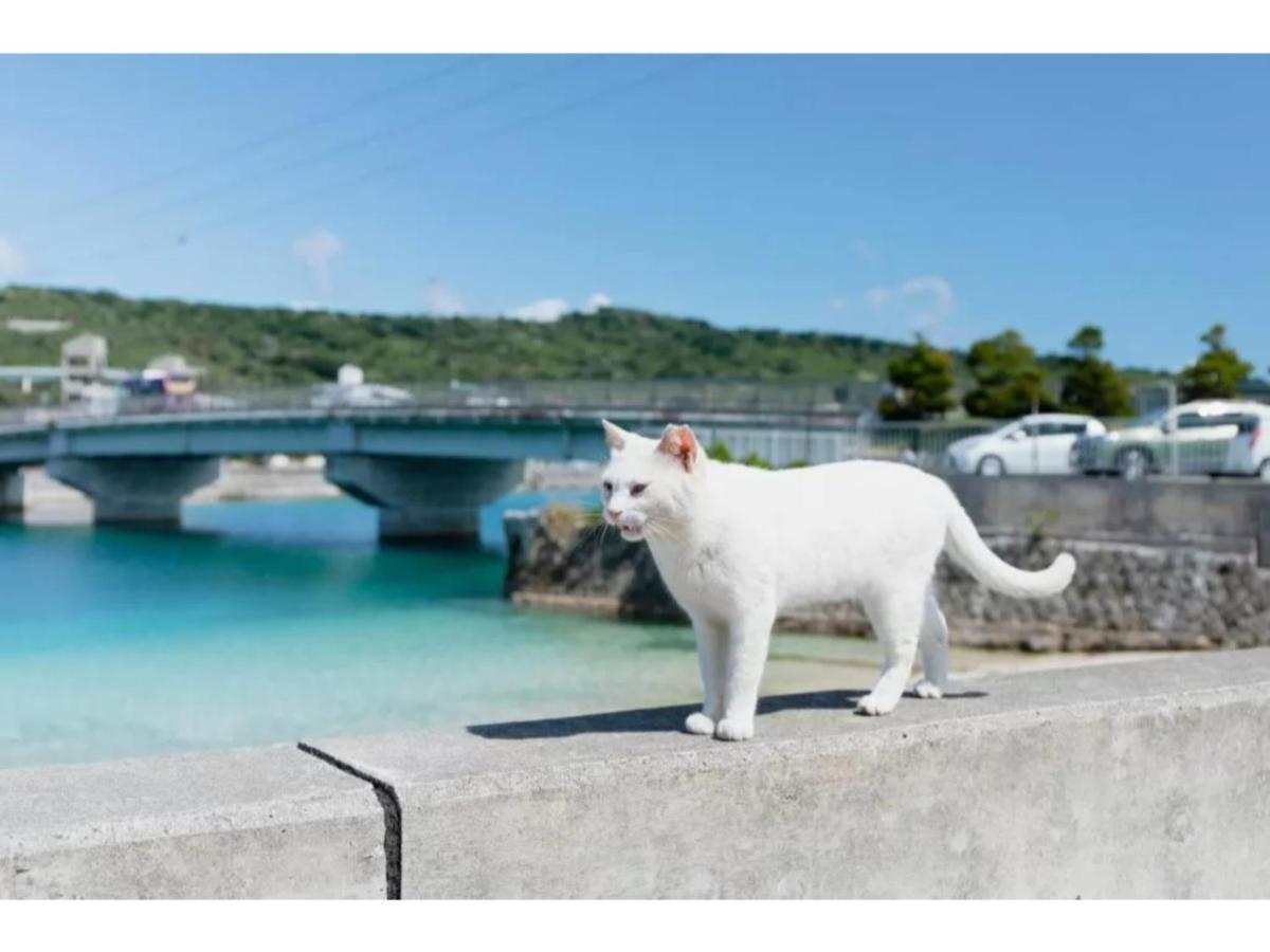 Hotel Pescatore Okinawa - Vacation Stay 20882V 나하 외부 사진