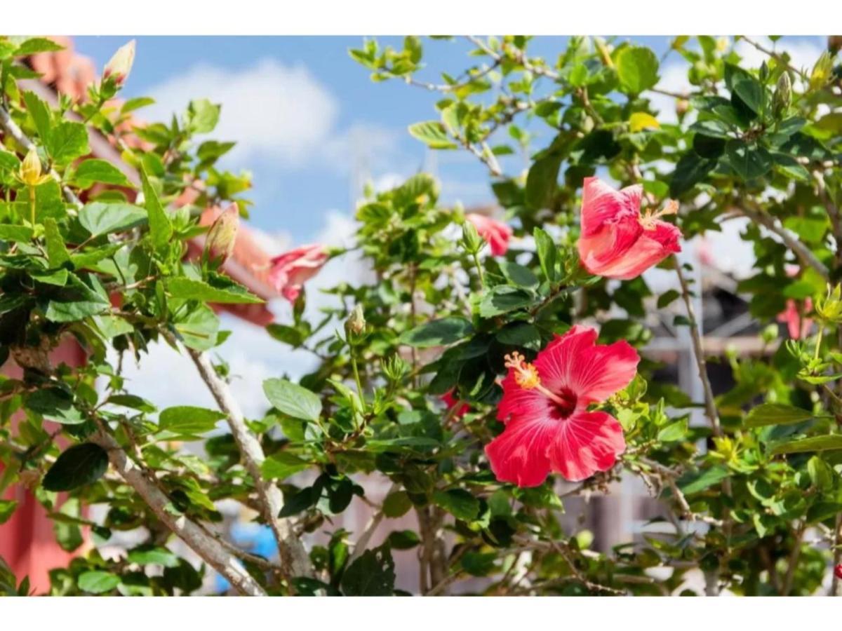 Hotel Pescatore Okinawa - Vacation Stay 20882V 나하 외부 사진