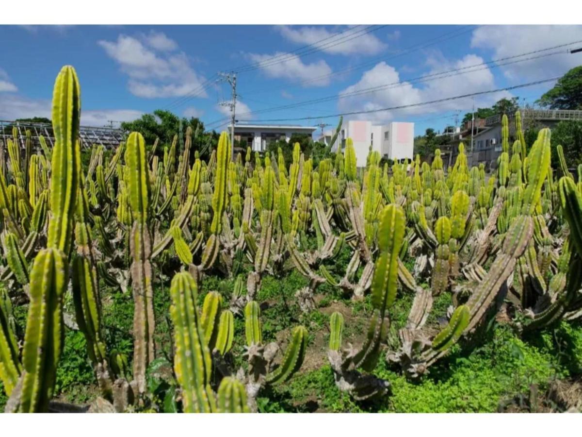 Hotel Pescatore Okinawa - Vacation Stay 20882V 나하 외부 사진